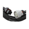 Transmission Harness - GM 4L60/4L80E (558-405) - Image 2