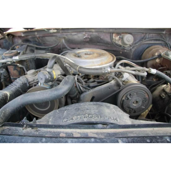 1982 Ford F-250 XL - Uden Afgift - Image 11