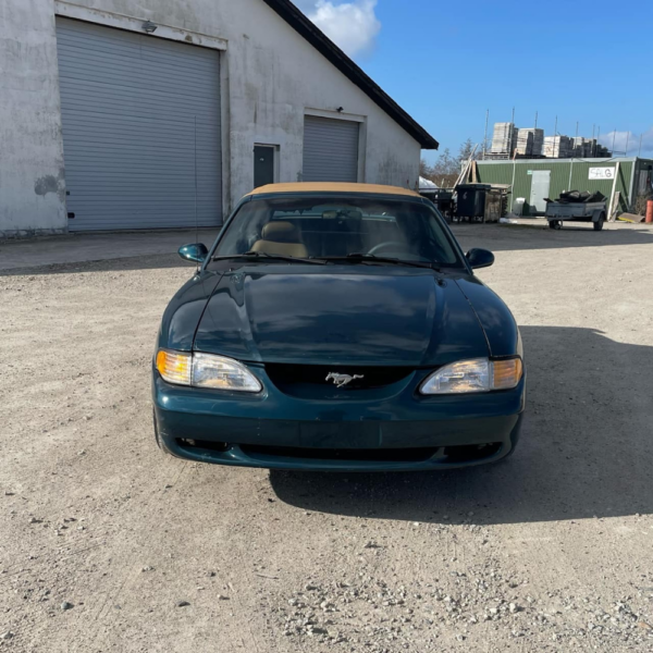 1994 Ford Mustang GT Convertible - Uden Afgift - Image 6